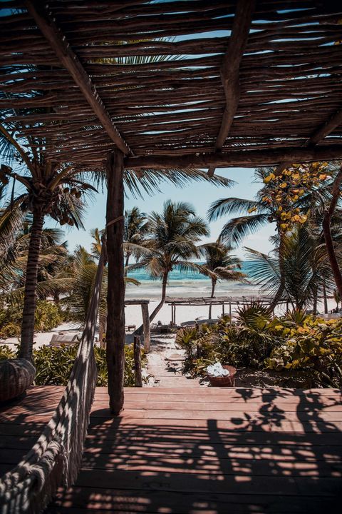 Catering In Tulum Mexico. Beach Events. Mexican Food.