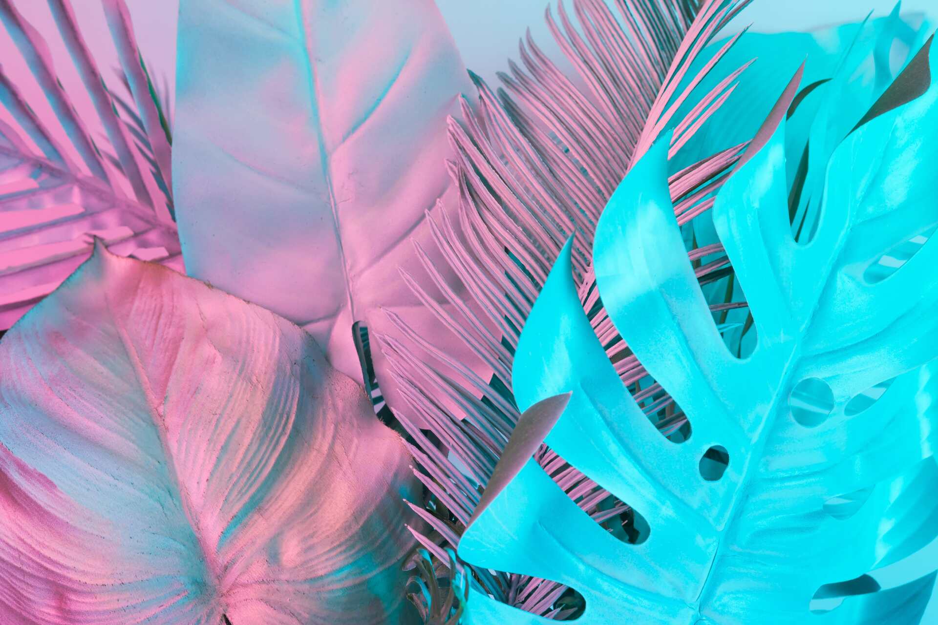 pink and blue leaves