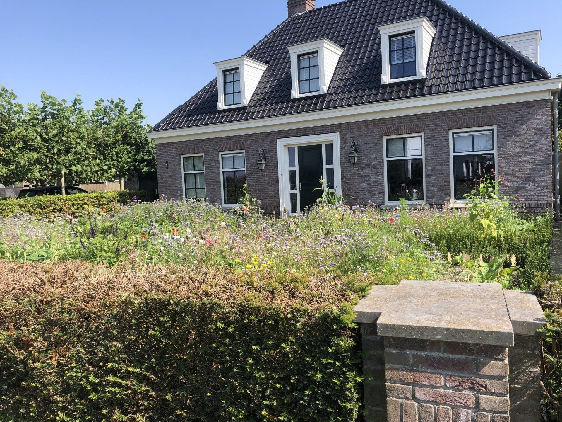 Kweker in de bollenstreek