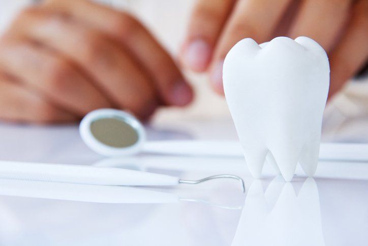 A person is holding a model of a tooth next to dental instruments.