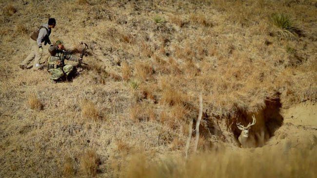 Deer Hunting