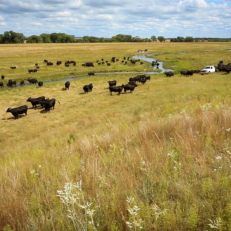 Nebraska Ranch