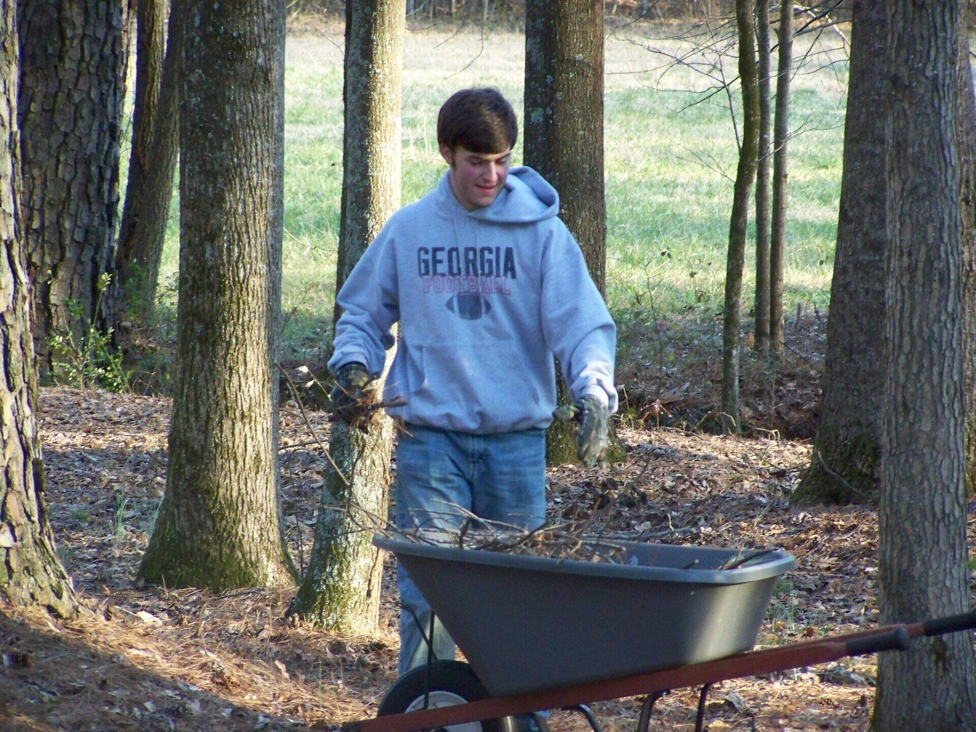 A man wearing a georgia sweatshirt pushes a wheelbarrow full of leaves