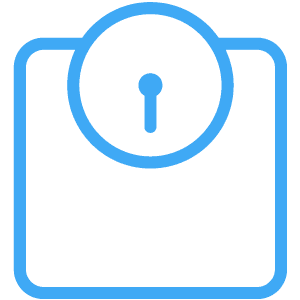 scale icon