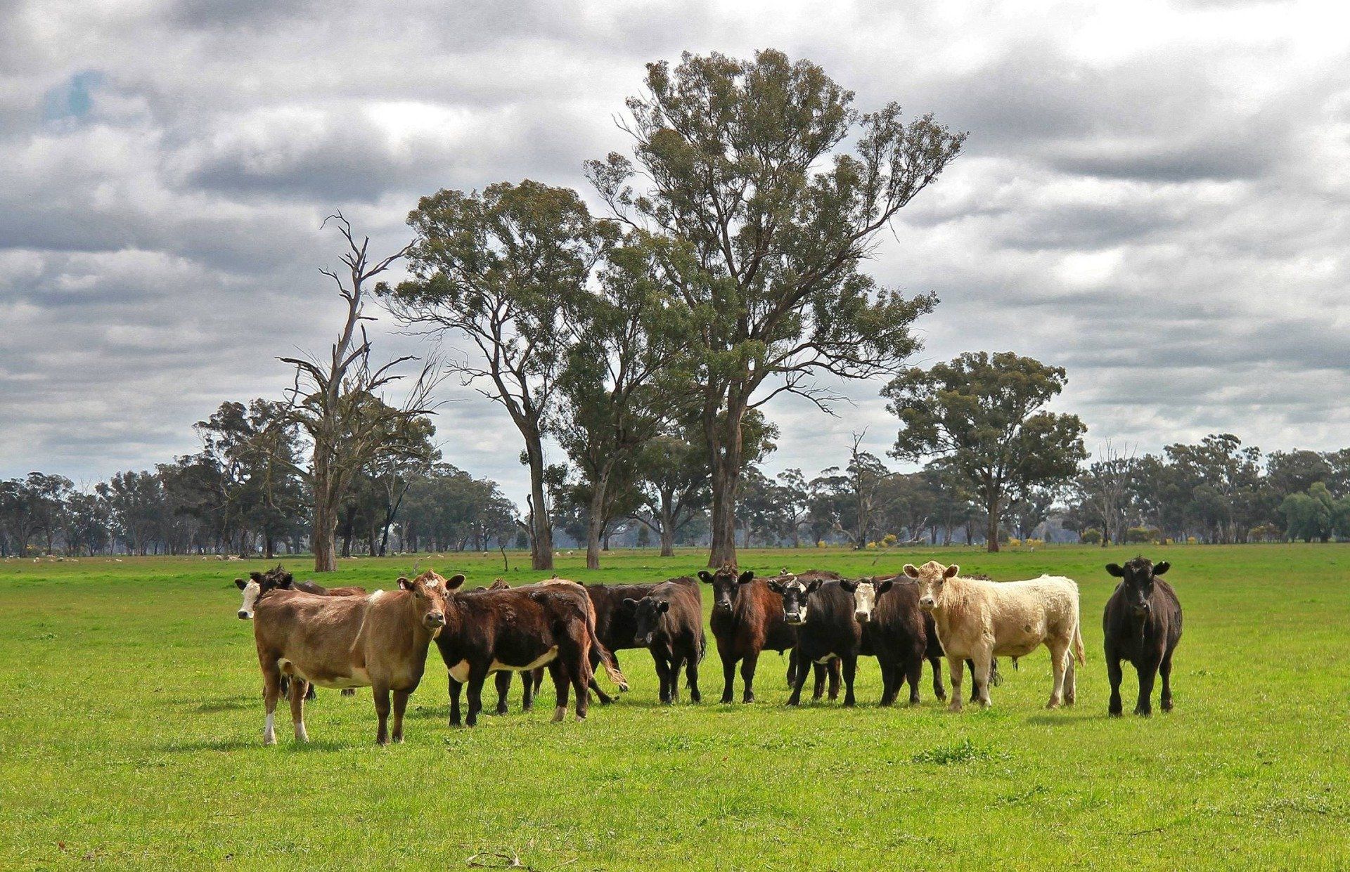 Farm Assurance Certification