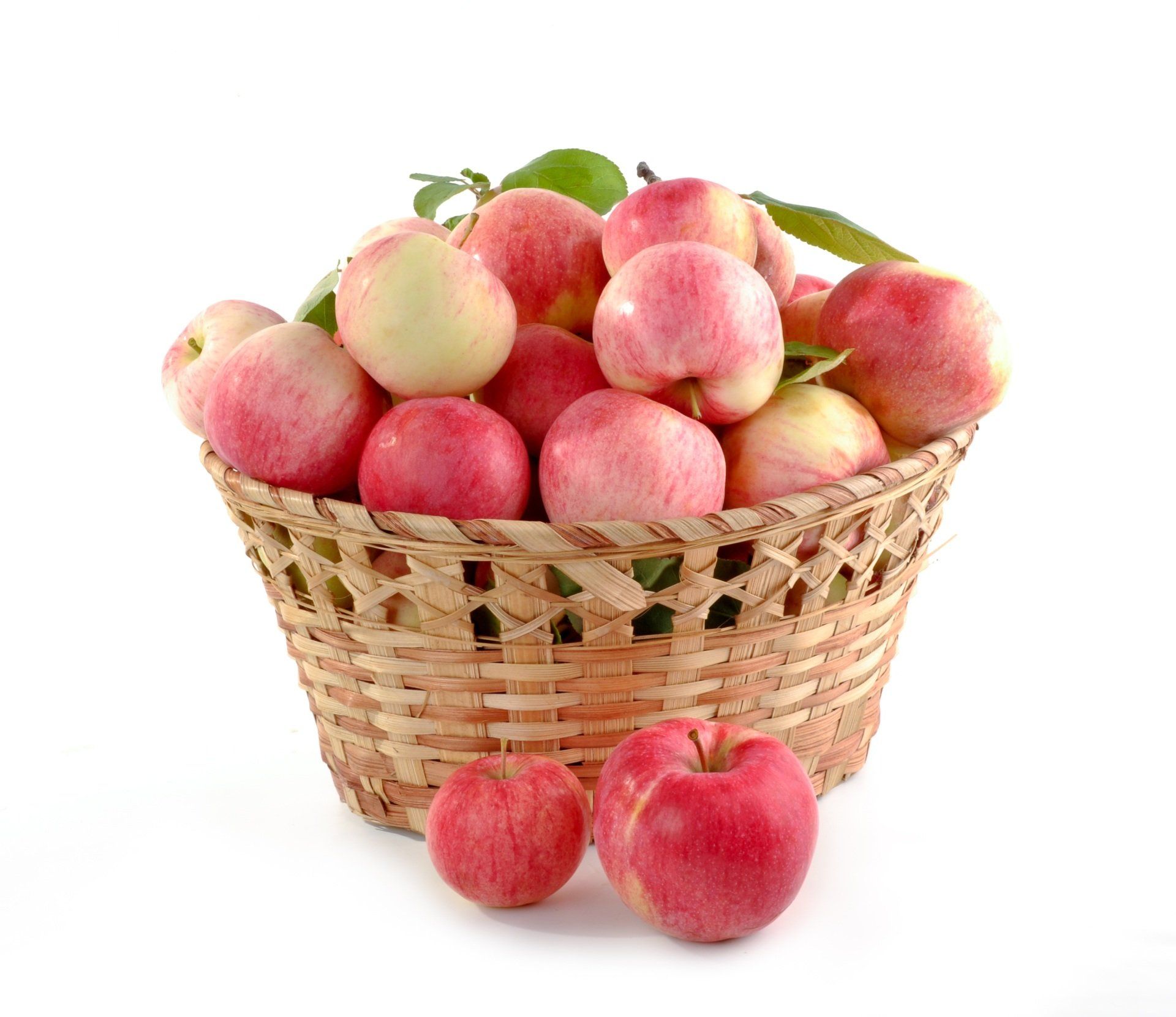 Organic Certification
