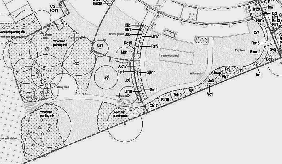 landscape masterplan drawing