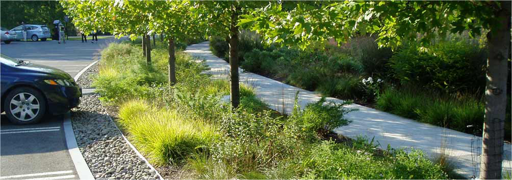 green infrastructure