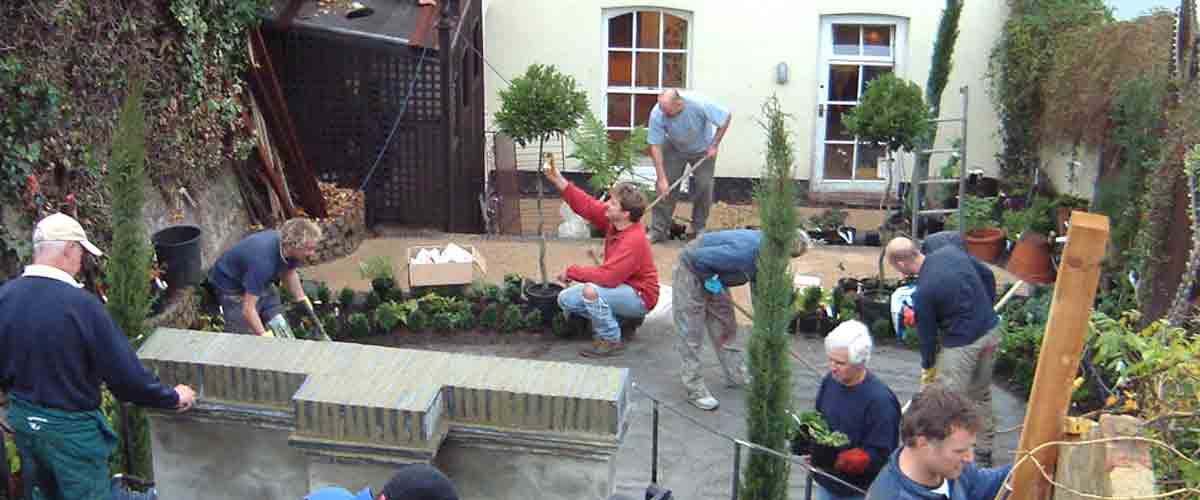 lawn, plants, split level garden