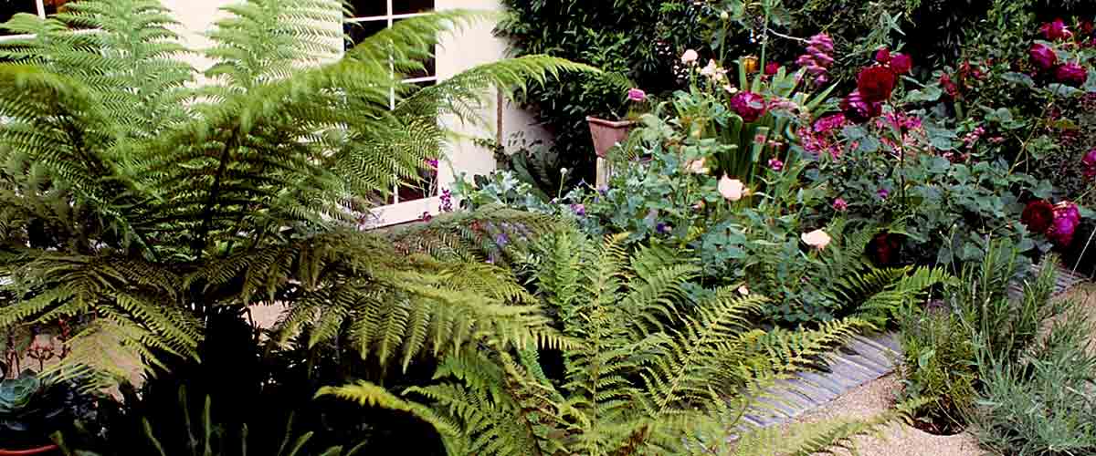 garden construction and planting