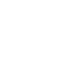 icona automobile