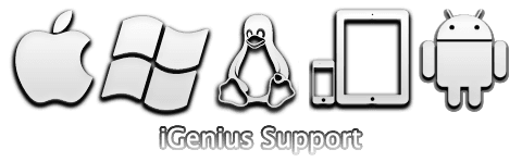 iGenius Support Zwolle