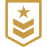 military badge icon