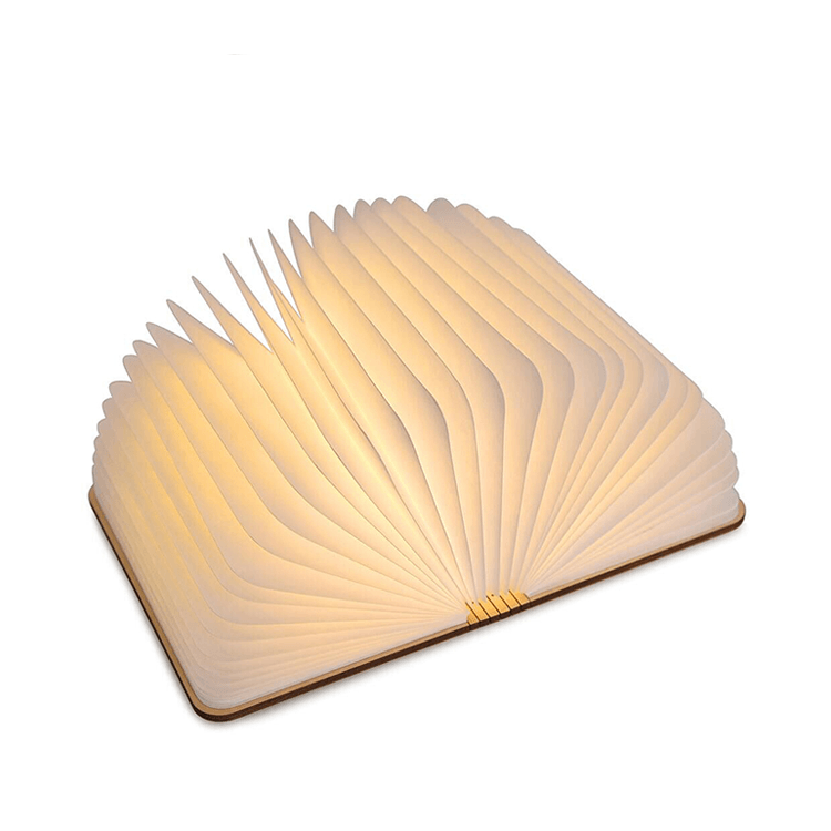 BOOK LAMP
