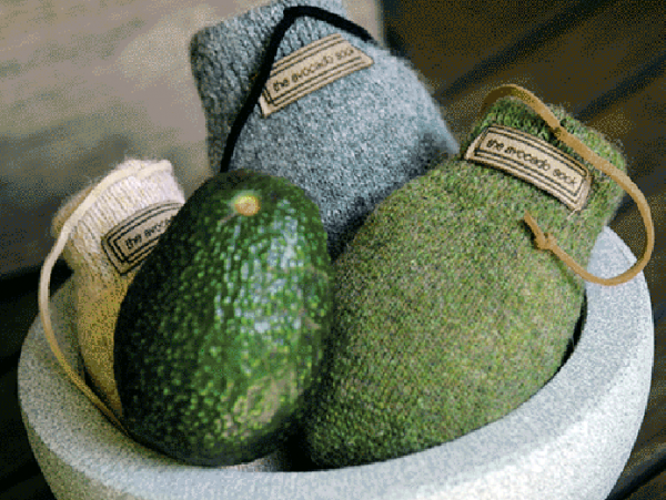 THE AVOCADO SOCK