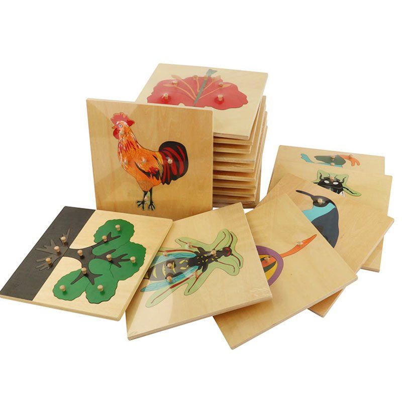 MONTESSORI PLANTS AND ANIIMALS