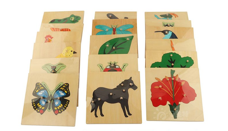 BOTANIC DRAWER ANIMALS AND PLANTS MONTESSORI