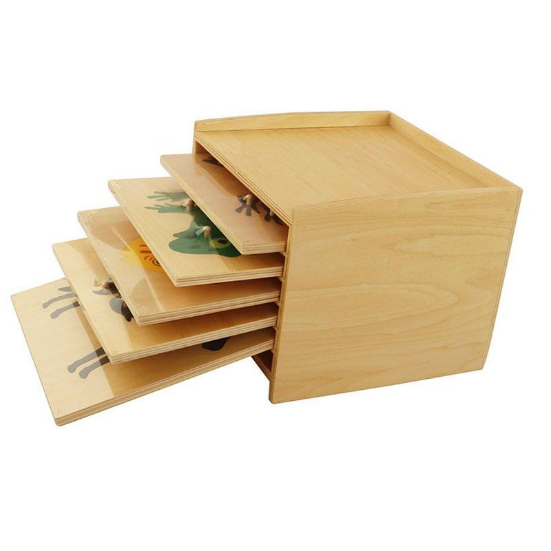 ANIMALI E PIANTE MONTESSORI SET BOTANICA