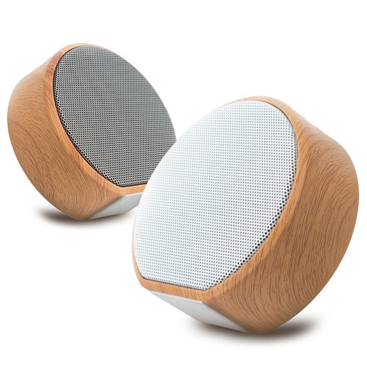 VOICE SPEAKER