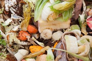 Detail Shot Of Organic Waste