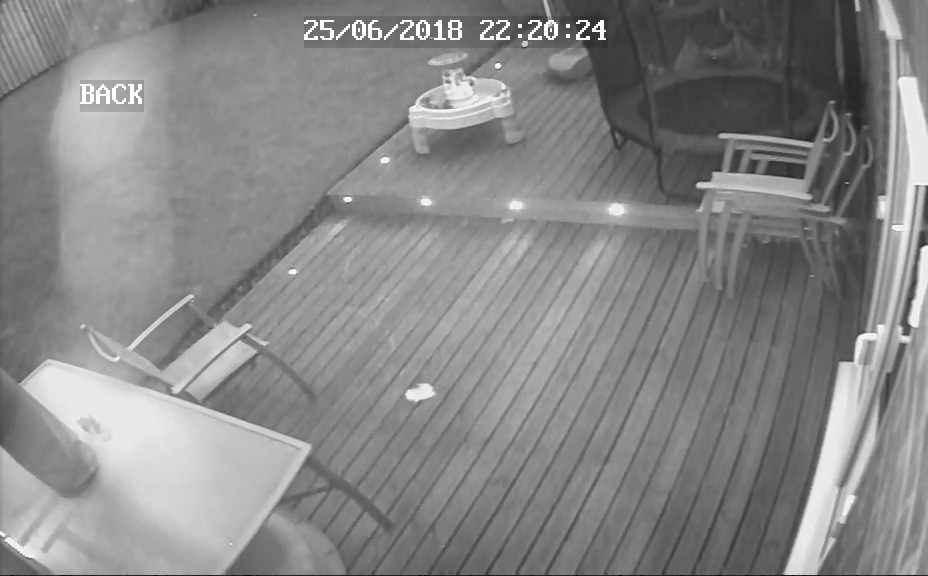 Image of a garden CCTV view