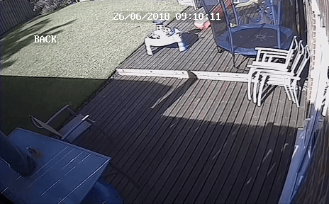 Image of a garden CCTV view