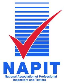 Napit Logo