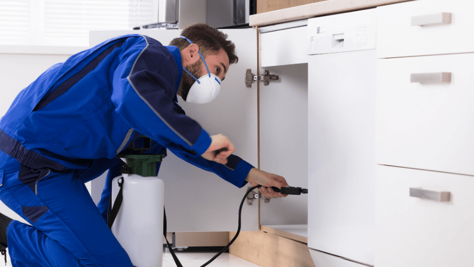 Technician in blue uniform inspecting under a kitchen cabinet with a handheld tool