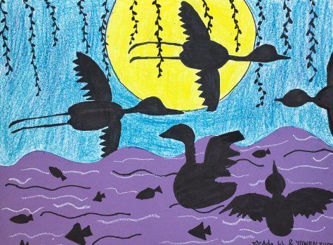 birds