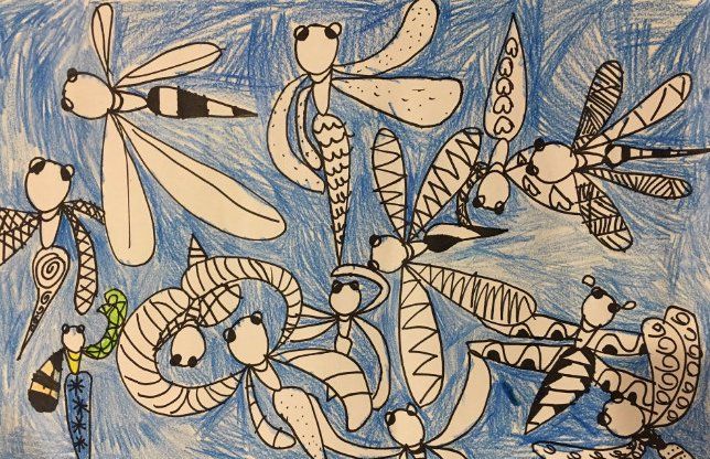 dragonflies