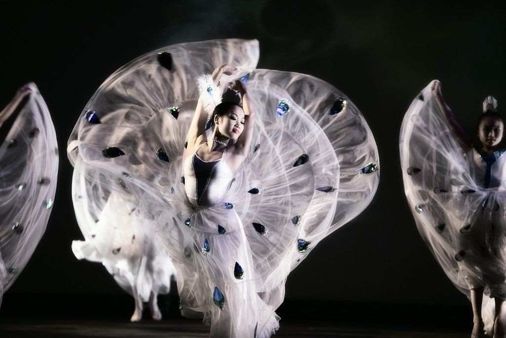 Peacock Dance 3