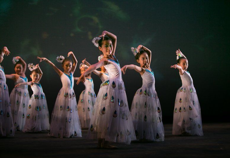 Peacock Dance 4