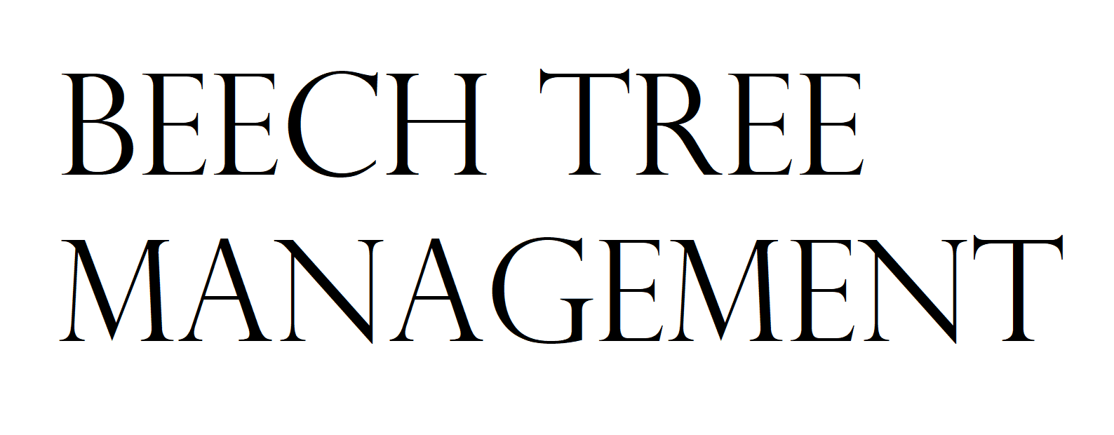 Logo Beech Tree Management Logo