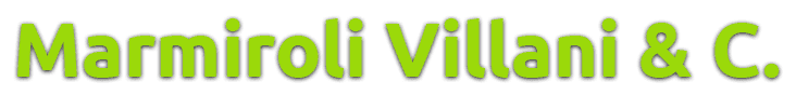 AUTOFFICINA MARMIROLI VILLANI e C. snc - LOGO