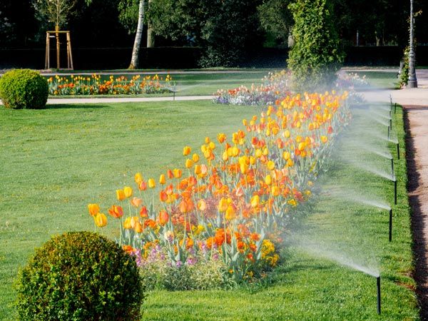 Agricultural Consultants — Modern Sprinkler Irrigation System Working in Portage, MI Agricultural Consultants — Modern Sprinkler Irrigation System Working in Portage, MI