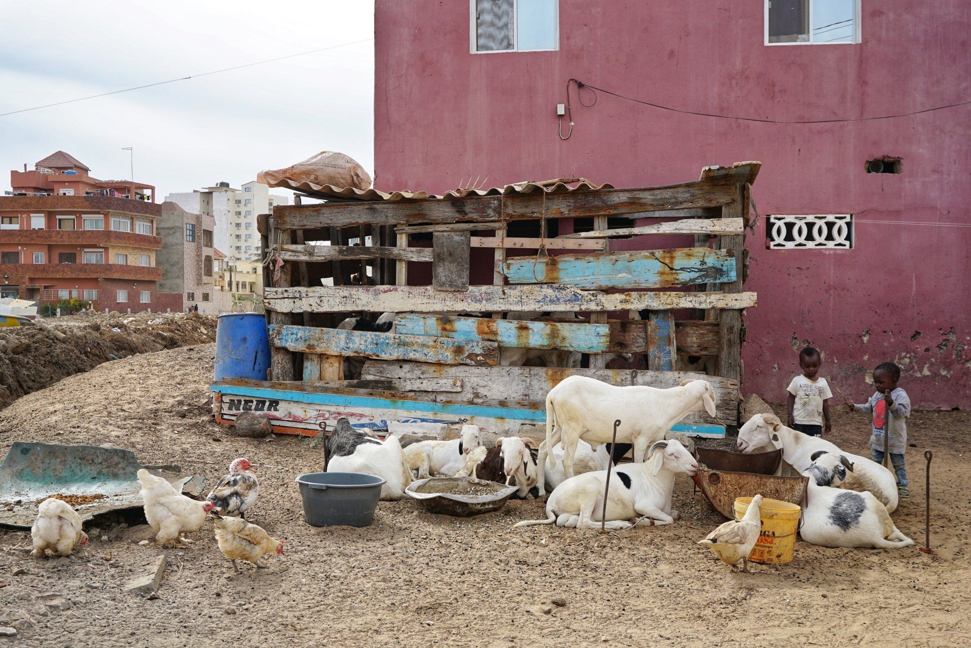 Mini animal farm