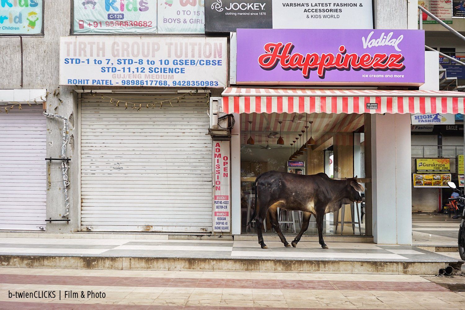 Cow Happinezz
