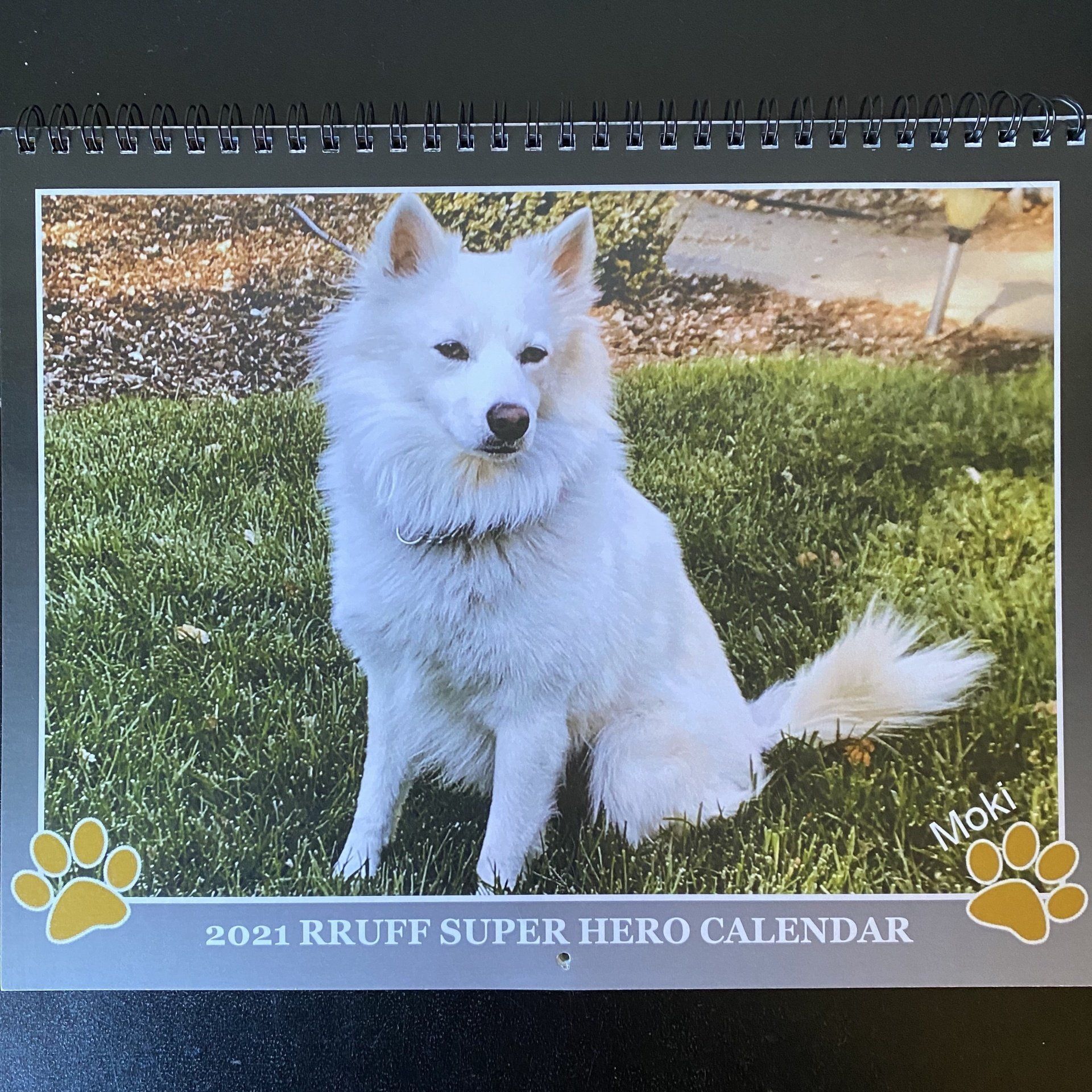 RRUFF super hero calendar photo winners