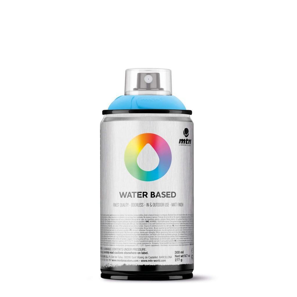 Buy MTN 300 Spray Paints
