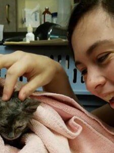 Dog With Head Support — Veterinary Services in Central Valley, NY Dog With Head Support — Veterinary Services in Central Valley, NY
