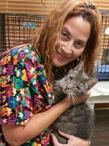 Cat With Head Support — Veterinary Services in Central Valley, NY Cat With Head Support — Veterinary Services in Central Valley, NY