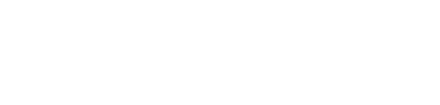 Vaessen