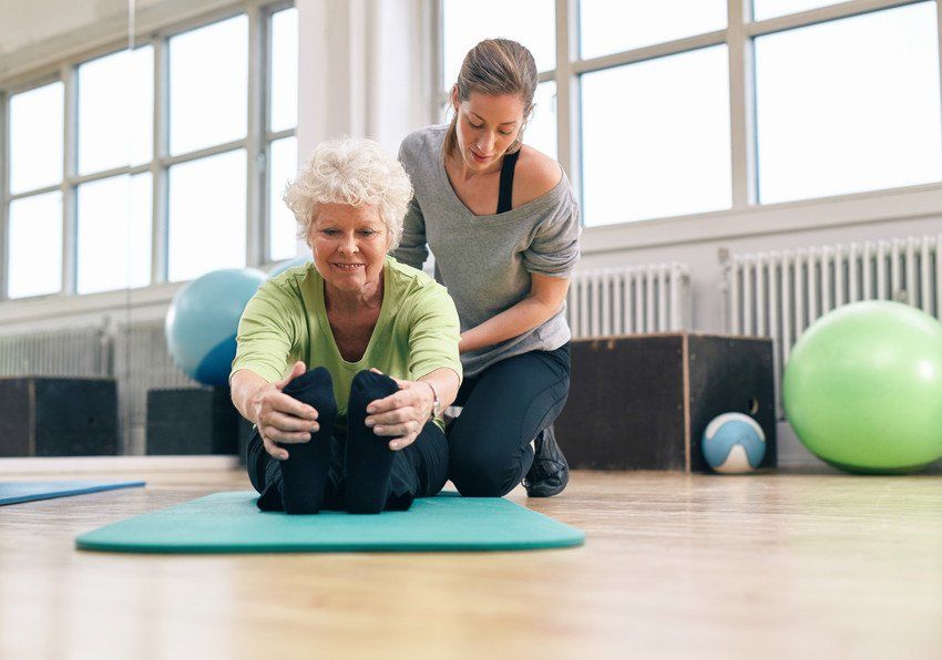 fitness programme