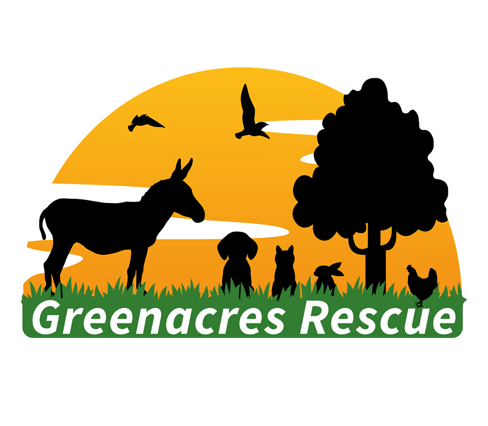 Animal rescue centre, charity, non-profit