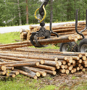 Crane Lifting Logs