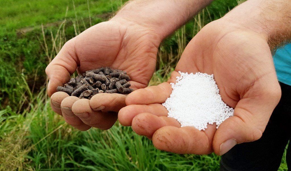 Organic manure, fertilizer, organic,, tomato manure, organic tomato nutrition,