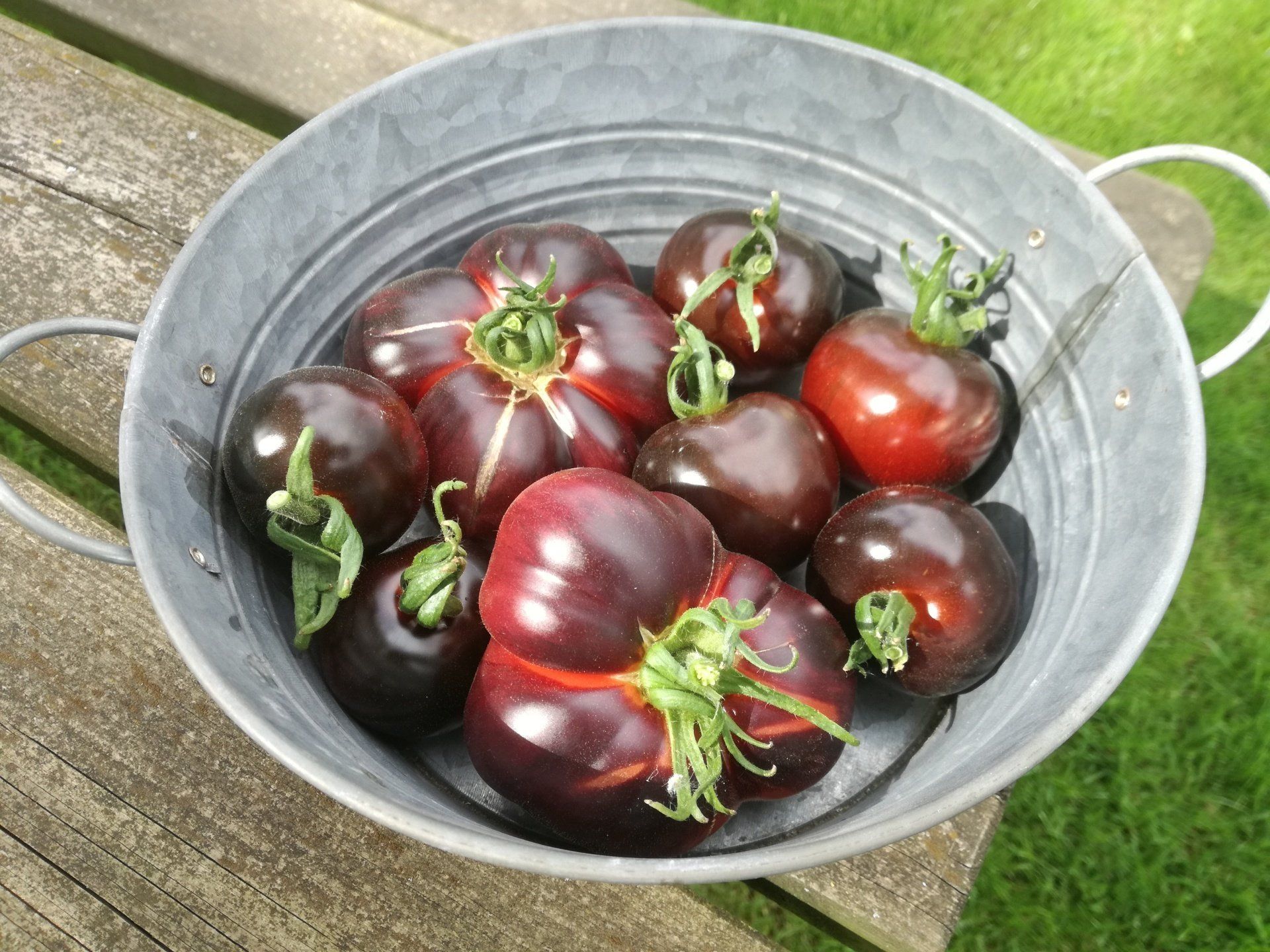 Een schaal met donkerpaarse tomaten met groene stelen, op een houten ondergrond, met een grasachtige achtergrond.