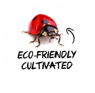 Organic grown, EKO, Eco-friendly cultivated,