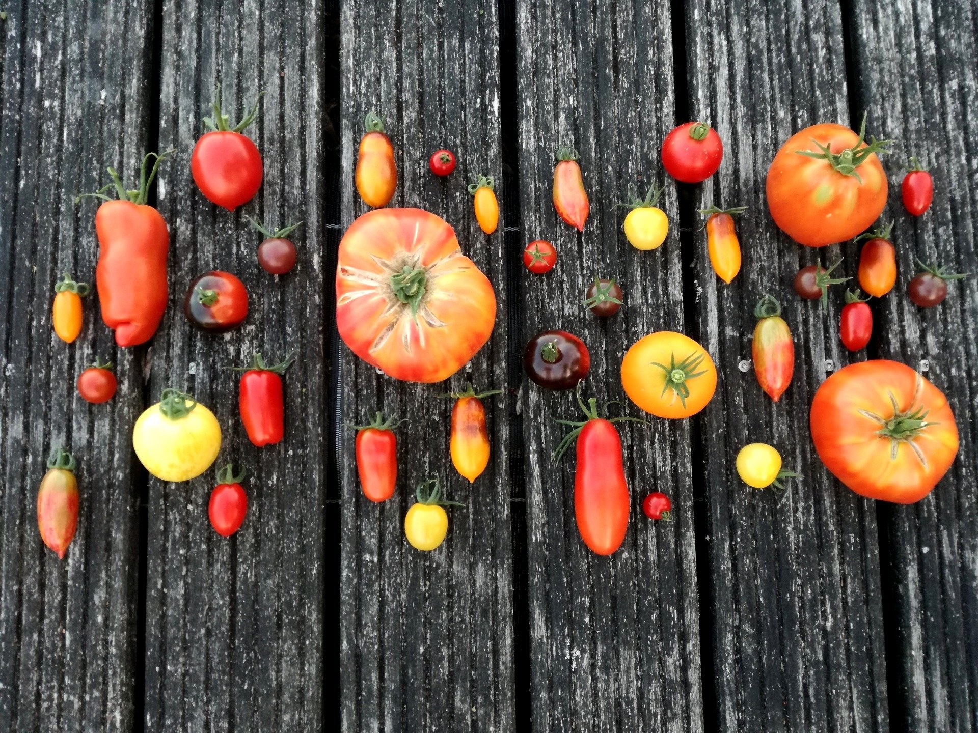 Tomatensorten