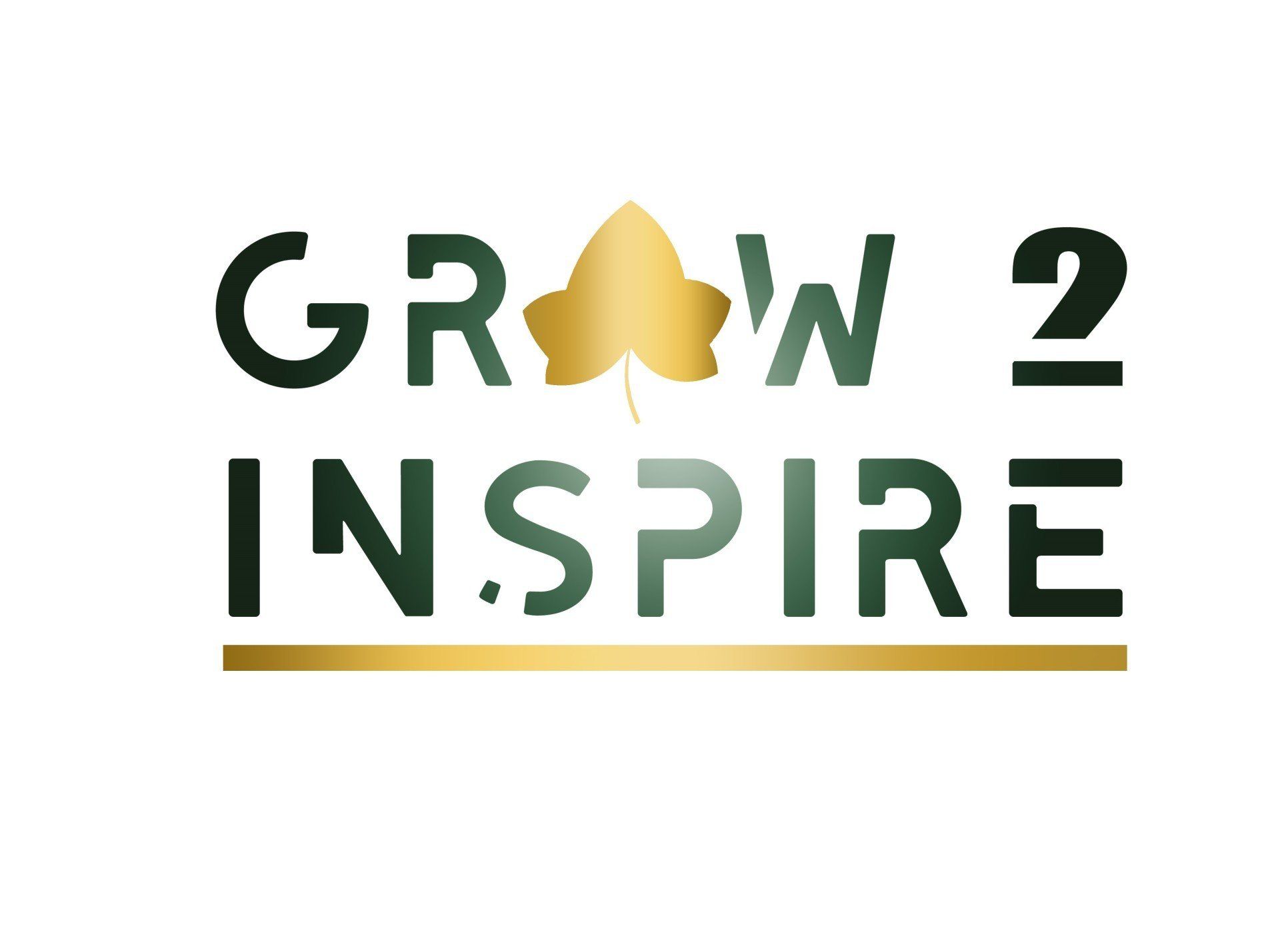 Bijlmerbox Amsterdam Zuidoost lokale ondernemers lokale producten Grow 2 Inspire